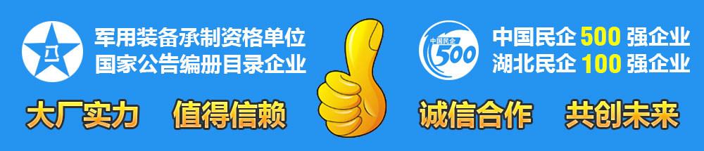 湖北程力民企100強企業